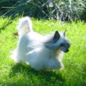 Meet your Posher, Beverly